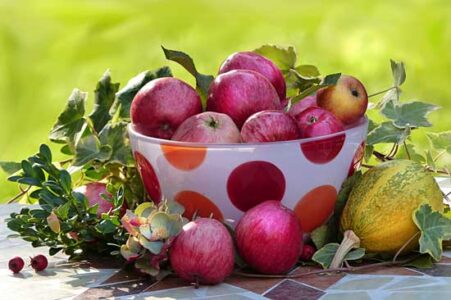 All About Apples Image